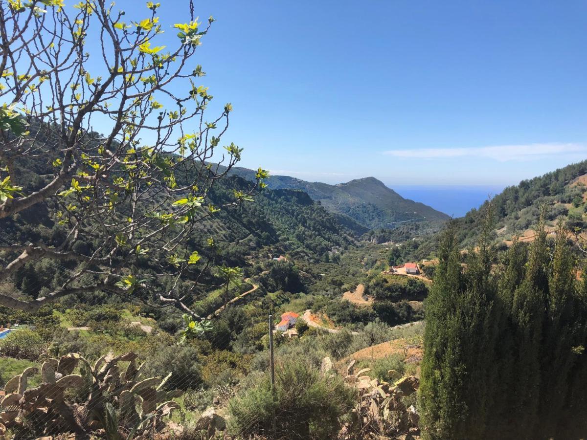 内尔哈Cortijo Luque别墅 外观 照片