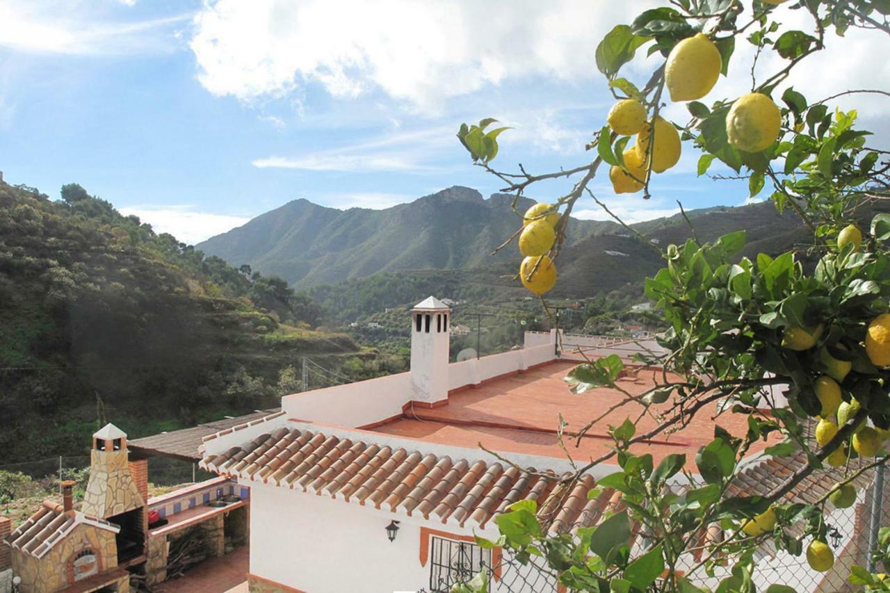 内尔哈Cortijo Luque别墅 外观 照片
